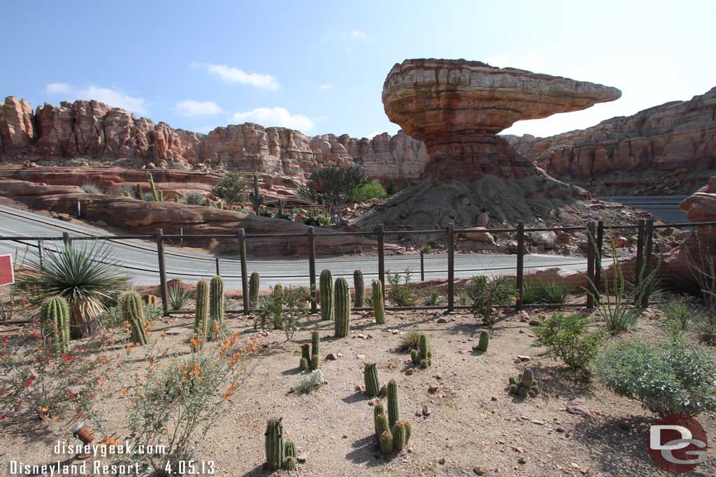 Some random Ornament Valley pictures.