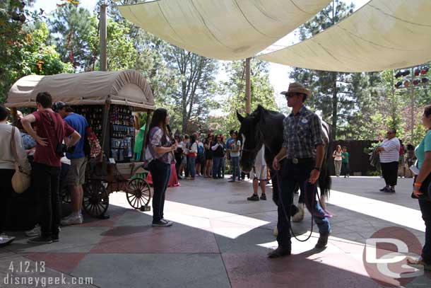 One of the horses heading back to the Circle D Ranch.