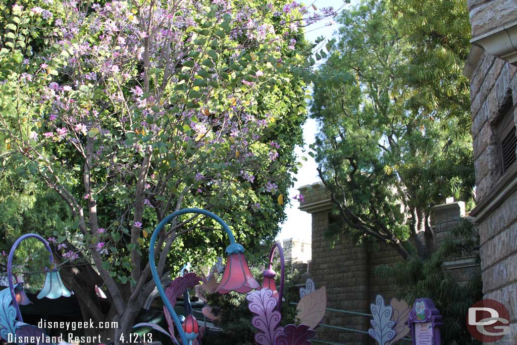 The scaffolding is down from the facade near Alice in Wonderland.  Looks like just some painting.