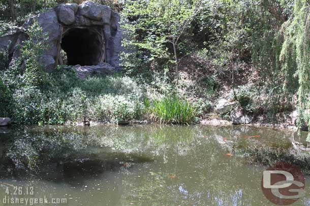 A lot of wild life out in this pond along the Big Thunder trail today.