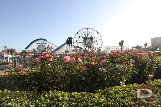 Paradise Park was in bloom/