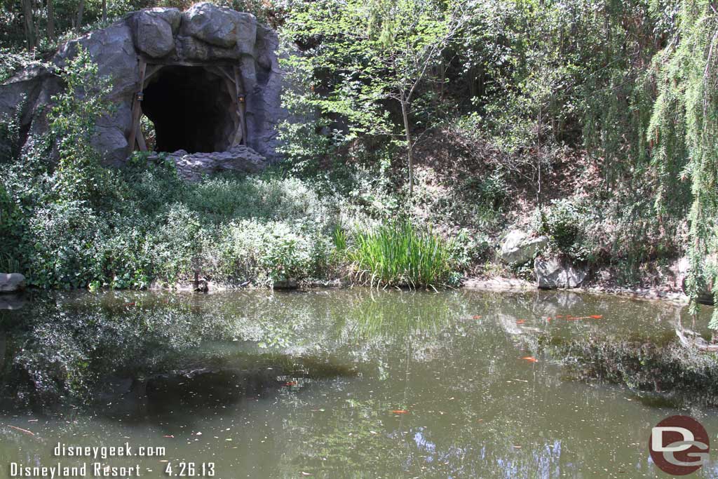 A lot of wild life out in this pond along the Big Thunder trail today.