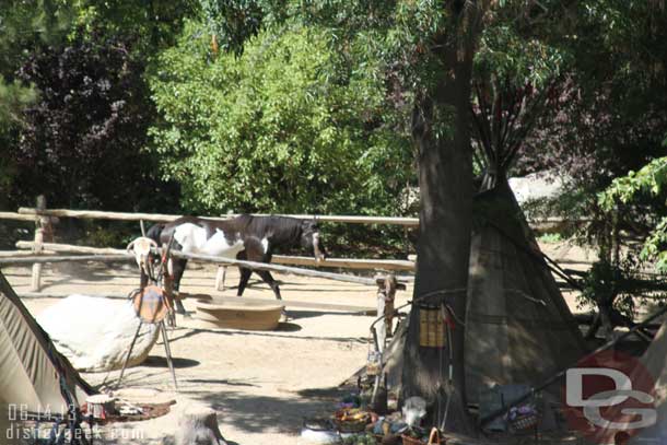 A horse out by the Indian Village