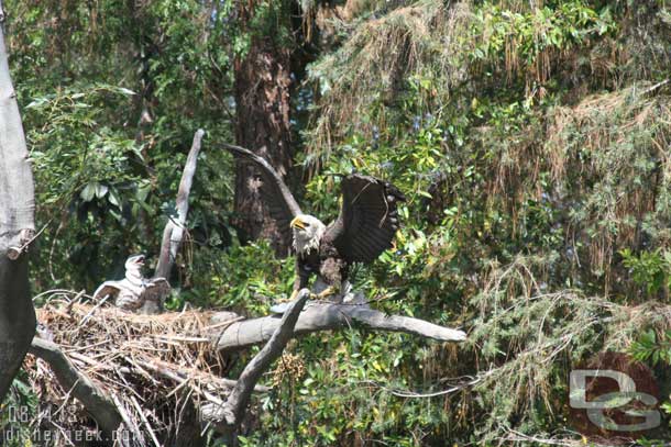 Flashbacks to last week in Alaska.. hanging out on a boat watching eagles.. not quite the same though..