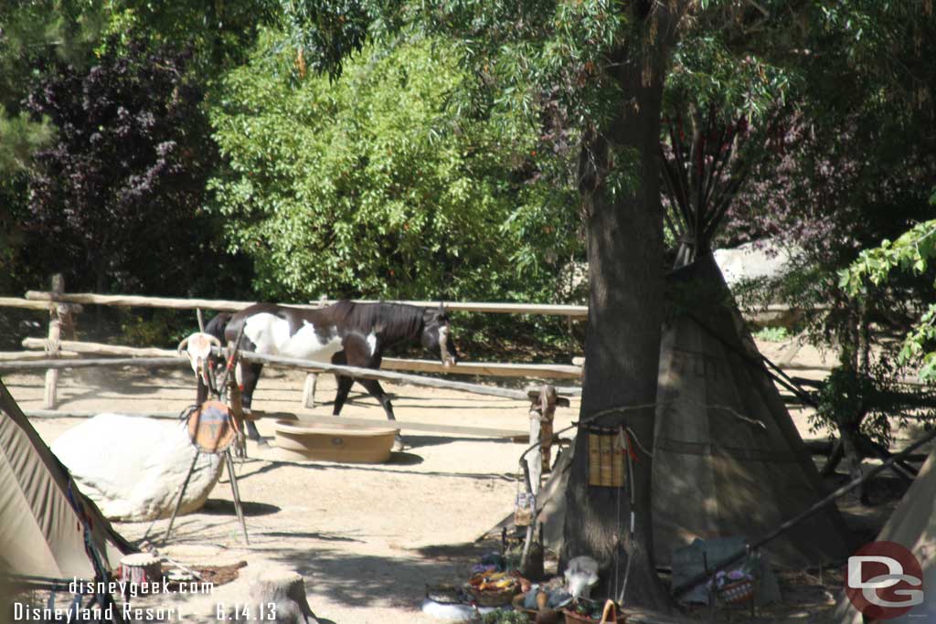 A horse out by the Indian Village