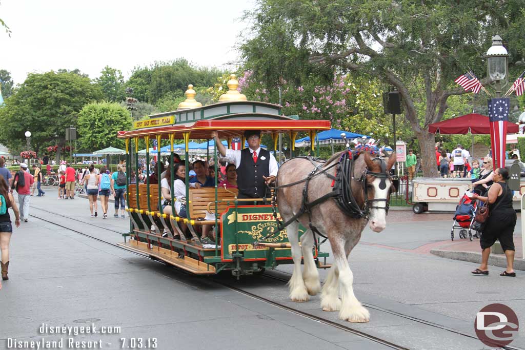 The horses are celebrating the 4th too.