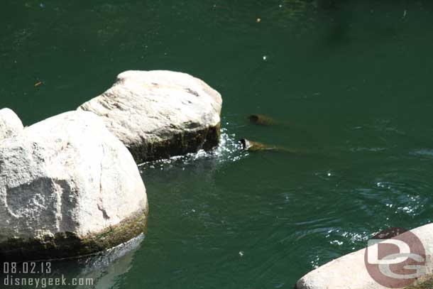 The rapids along the Rivers of America were not functioning today.