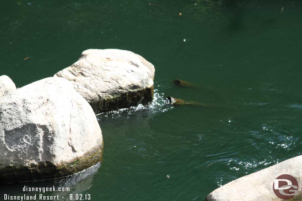 The rapids along the Rivers of America were not functioning today.