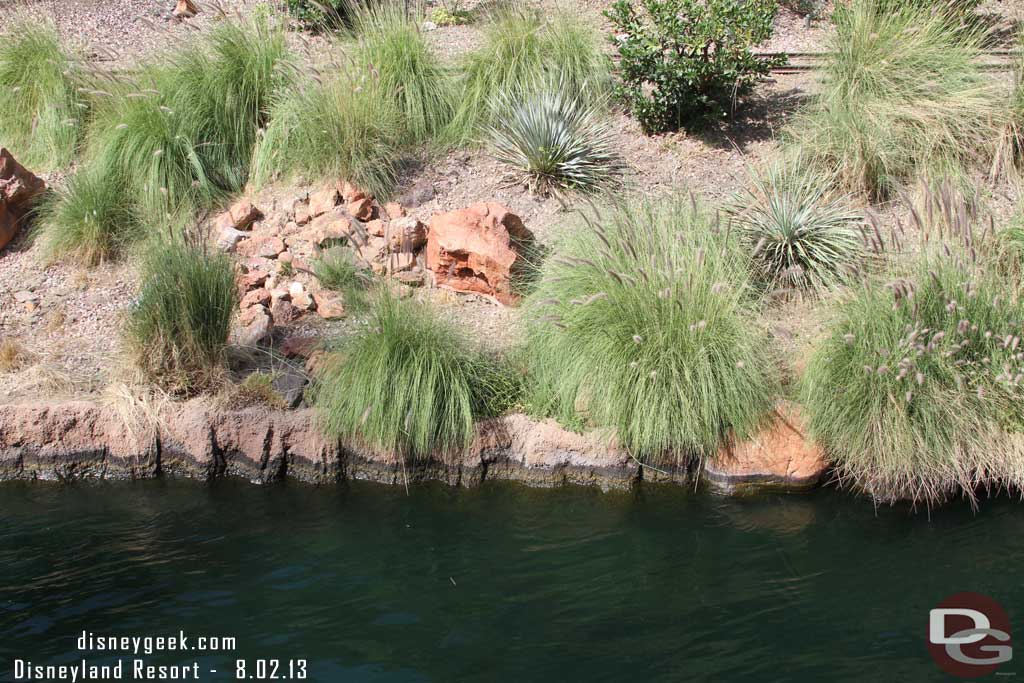 The water level seemed down.. notice the bank.