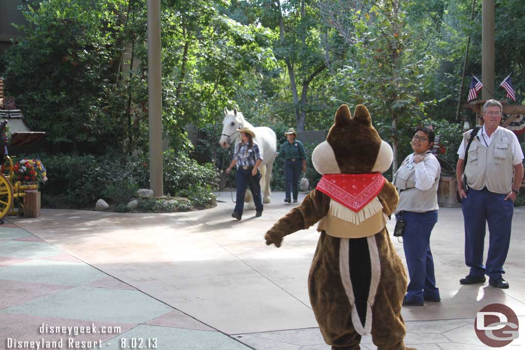 Chip was helping to direct the horse.