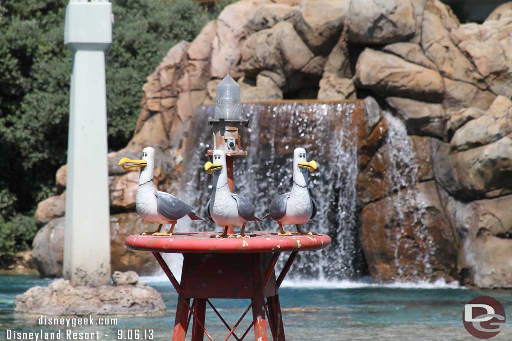 All three seagulls are back.