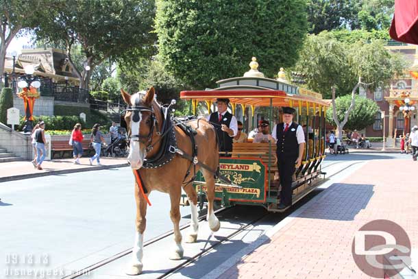 The horses sporting their HalloweenTime gear.. (the orange and black ribbon).