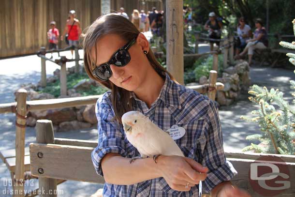 A cast member with a parrot was near the entrance/exit to the ranch area.