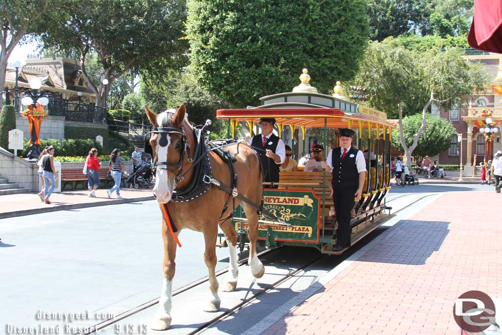 The horses sporting their HalloweenTime gear.. (the orange and black ribbon).