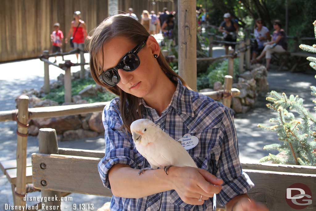 A cast member with a parrot was near the entrance/exit to the ranch area.