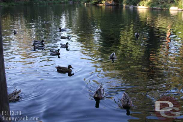 The view from our dinner table. We ate along the Rivers of America.