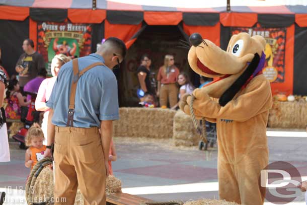 Pluto playing the ring toss/hat toss game.