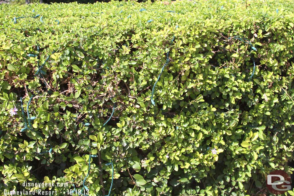 The shrubs around the Castle have their lights.