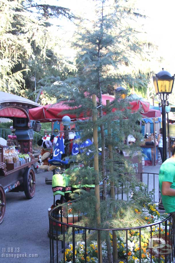 Is this tree across from the restrooms in Fantasyland relatively new.. I saw the supports for it so makes me think so.