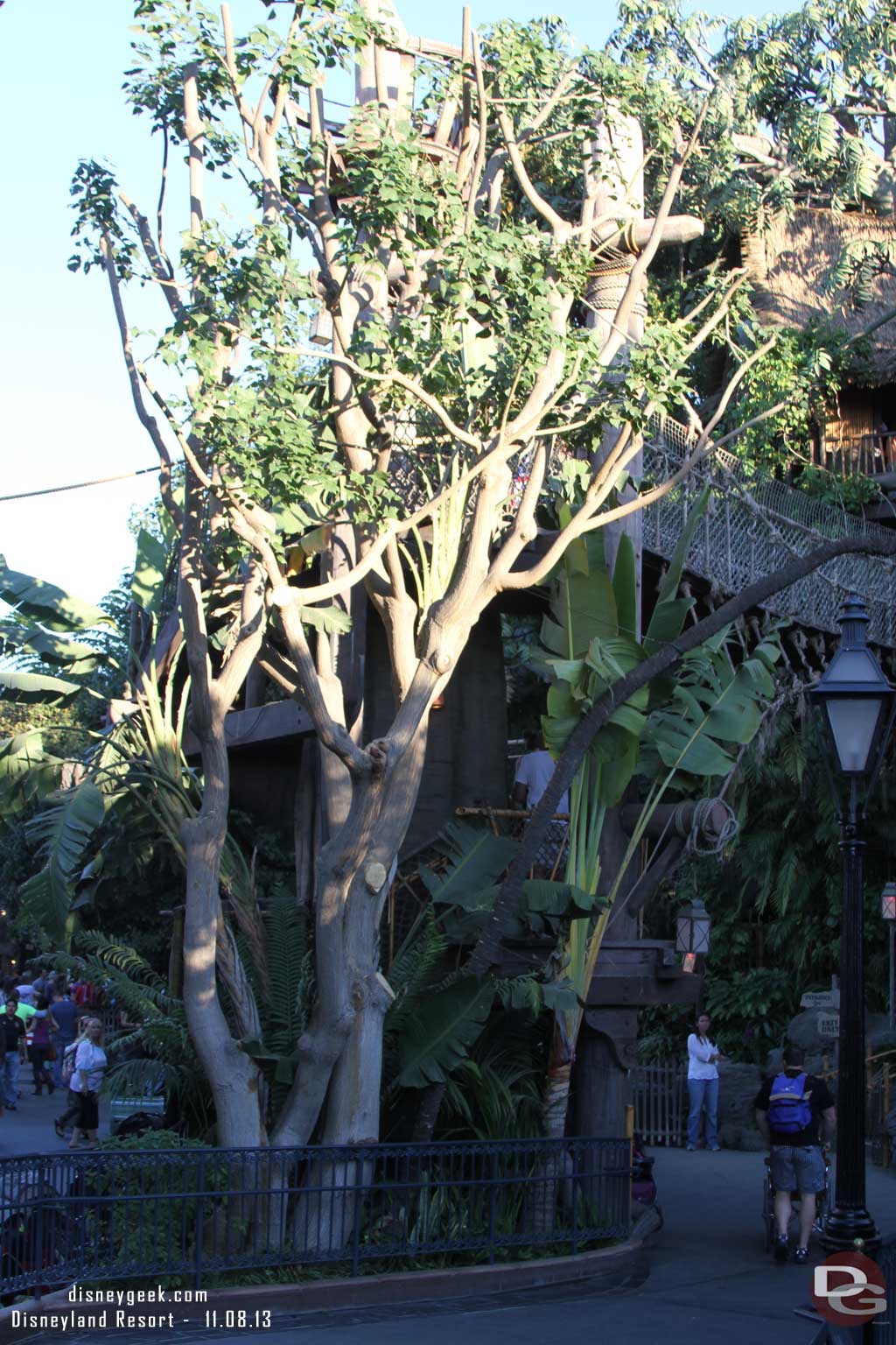 Looks like some recent tree trimming (or at least I had not noticed it) on the way into Adventureland.