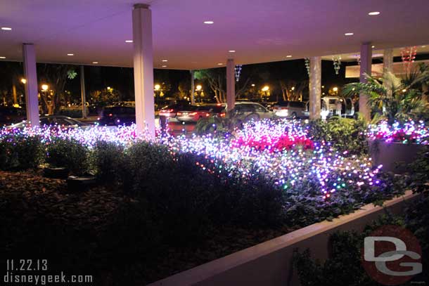 Out front the lights have returned to the planters this year.