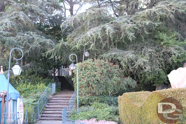 The word on the internet is the skyway station up behind the trees will be removed in the coming year.  You can only see a few glimpses of it.  Wonder if the trees will be cut back or just left as a forest.  