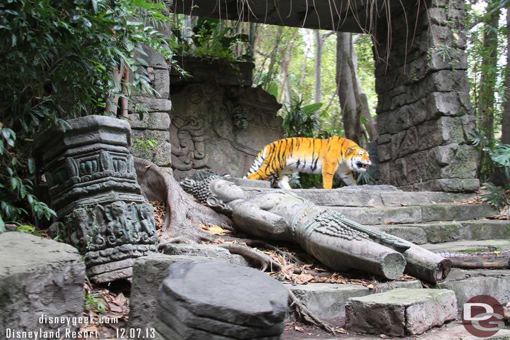 The tiger has returned to the ruins.