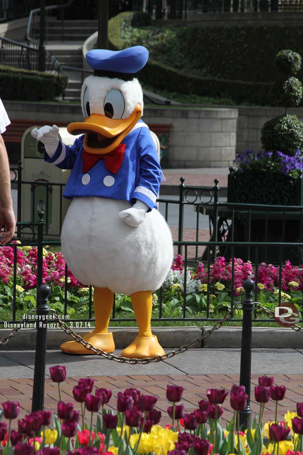 Donald greeting guests.