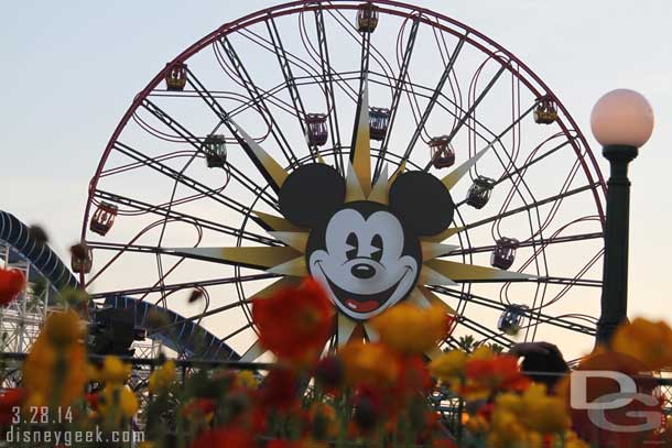 Random Fun Wheel picture.  When I walked by the non swinging wait was posted at 60 minutes and swinging at 45.