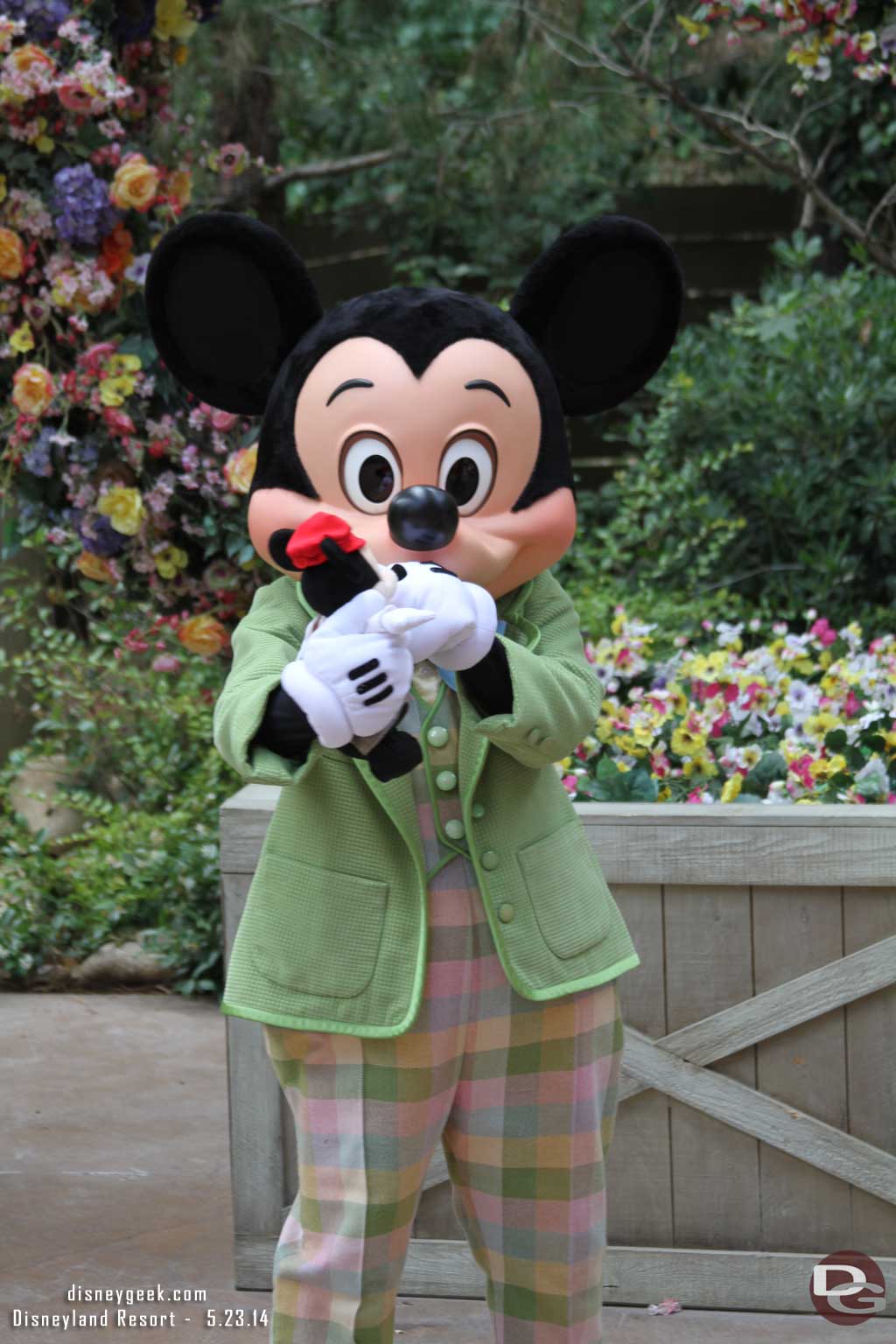 Mickey was out in his springtime outfit.