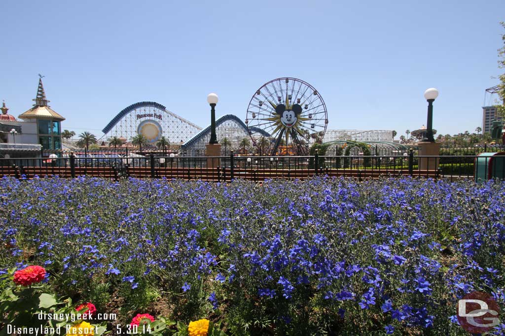 A look out to Paradise Pier