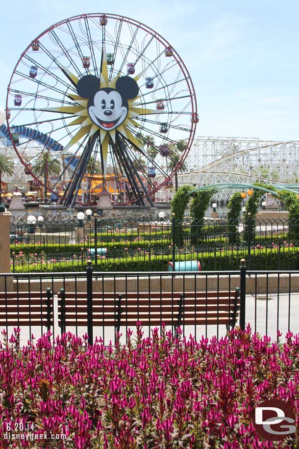 A quick look out to Paradise Pier.  I did not have time to circle around.  But on a quick glance all looked status quo.