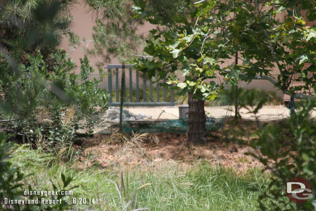 There was some work going on near the Grand Californian. I could not see through the trees except for this temporary fence. 