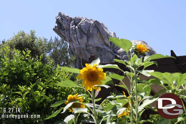 Grizzly Peak with sunflowers