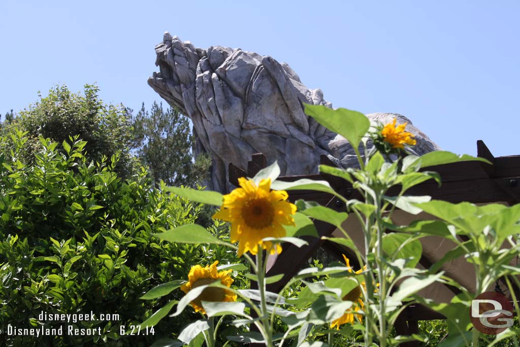 Grizzly Peak with sunflowers