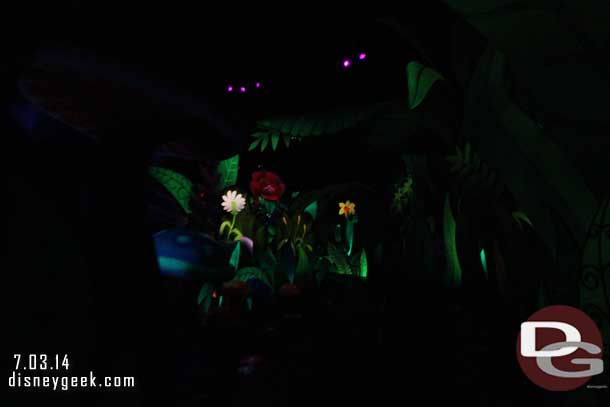 The flower sequence features more projections