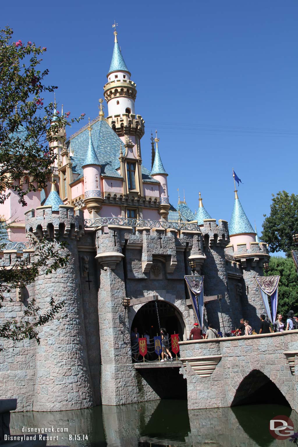 Sleeping Beauty Castle