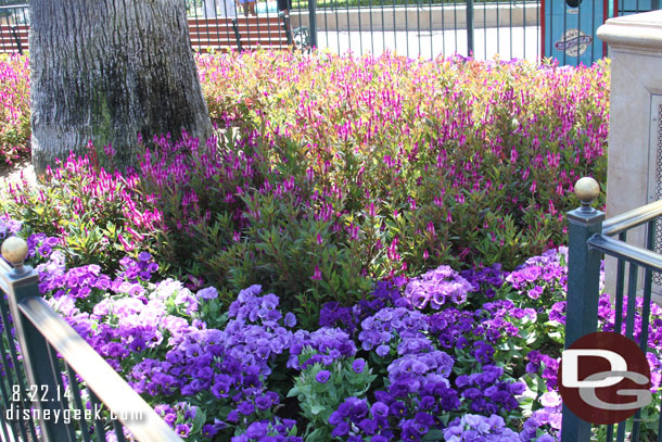 For those who enjoy the flowers.. a quick look at some of the plants in Paradise Park.