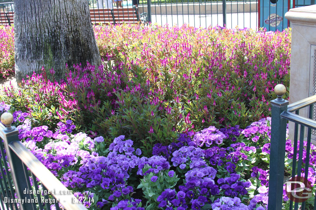 For those who enjoy the flowers.. a quick look at some of the plants in Paradise Park.