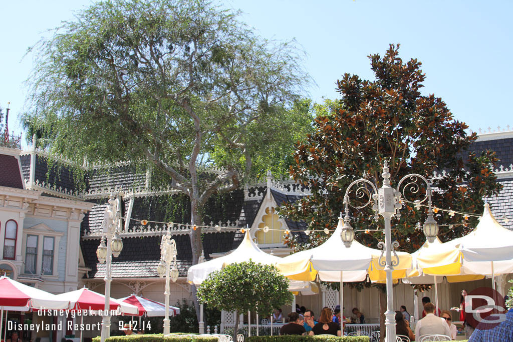 A large tree has been removed from between Coke Corner and Jolly Holiday.  It has been replaced with a smaller one. (on the right).