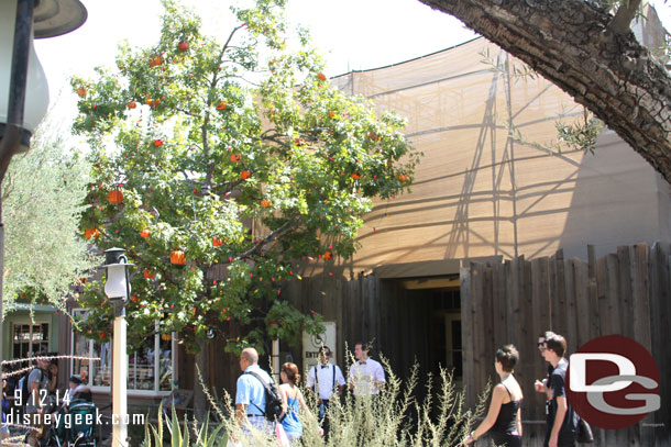 The Ray Bradbury Halloween Tree is back in Frontierland.