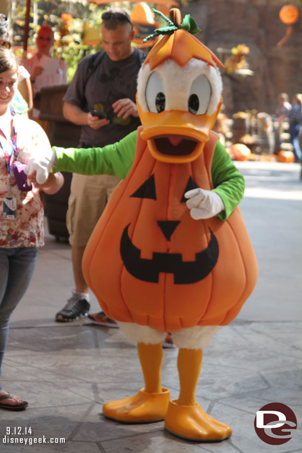 Donald dressed up as a pumpkin