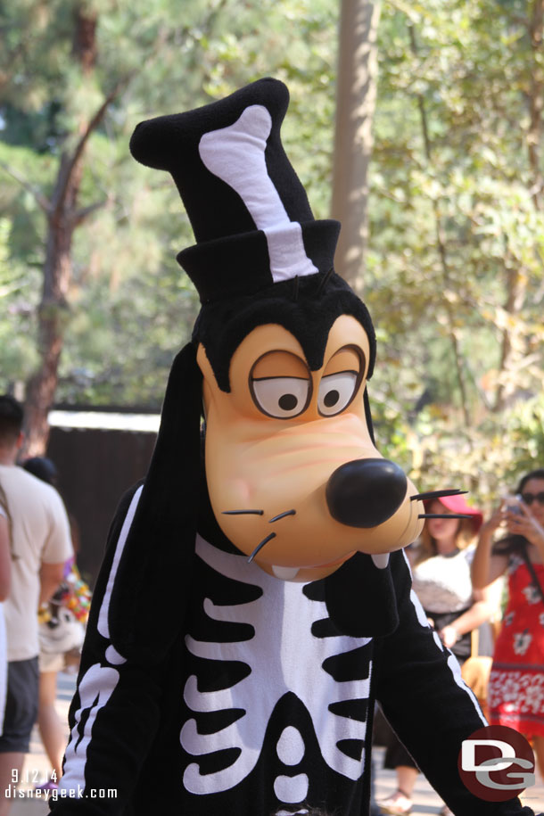 Goofy in his Halloween Costume.