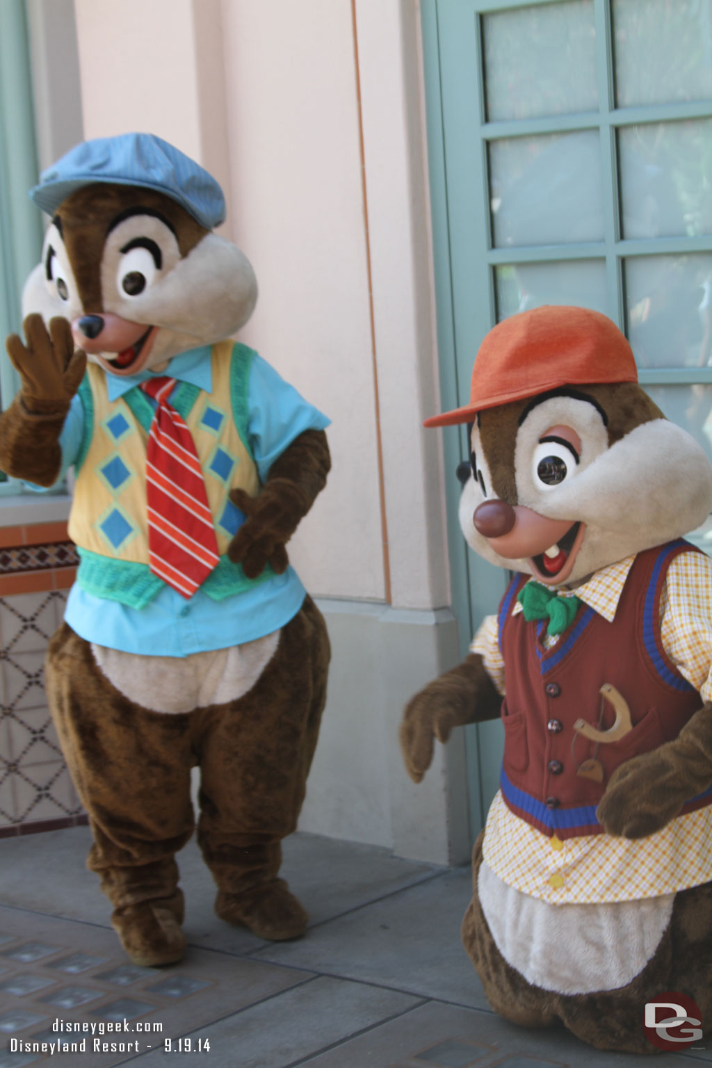 Chip and Dale hanging out near by.