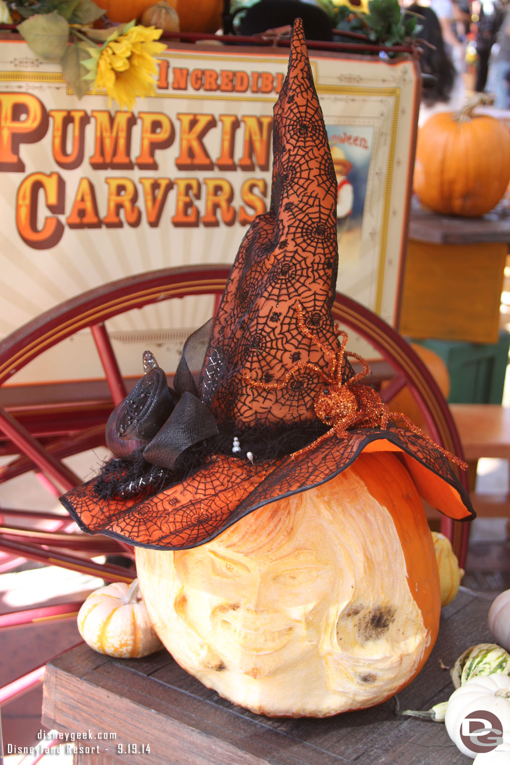 Time to check out the latest pumpkin creations.