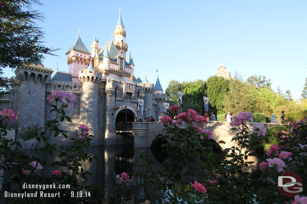 Sleeping Beauty Castle