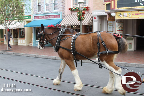 Jingle Bells on the horses for the season.