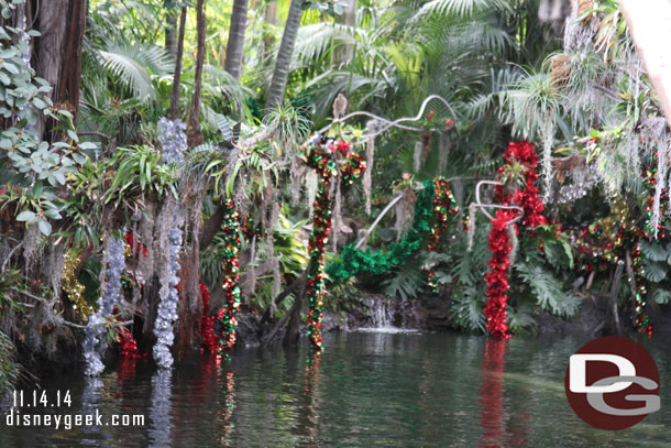 Looking up river this year there are more decorations.  Here you can see garlands in the jungle.