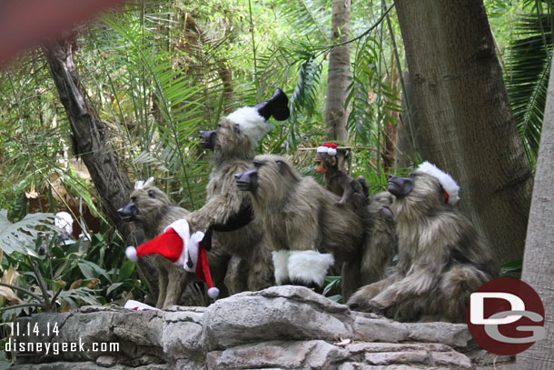 The family of baboons found the hats and boots.