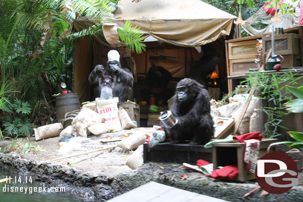 Down in the camp the gorillas were trying to bake some holiday treats (this section had a holiday smell to it too).